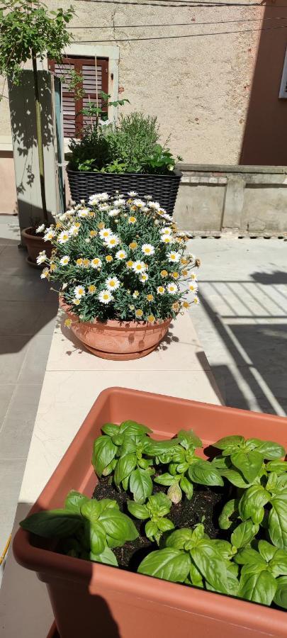 Luxury Apartment - Old Soul With A New Heart 크레스 외부 사진